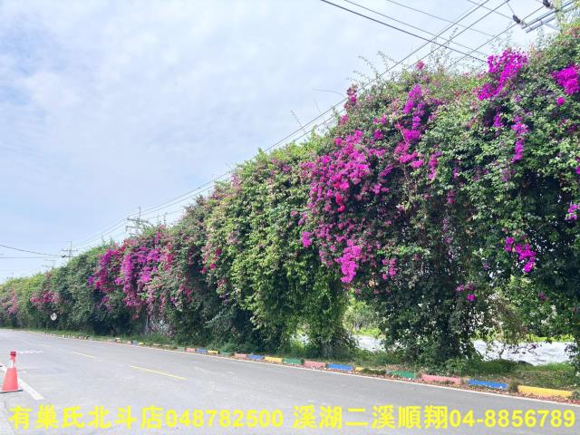 彰化建地-1