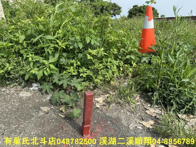 秀水農地-10
