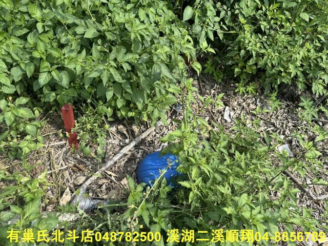 秀水農地-11