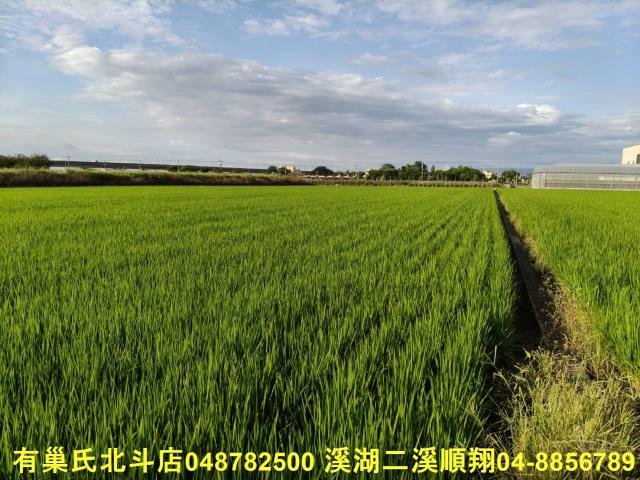 彰化農地-9