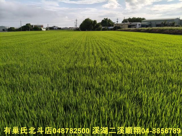彰化農地-1