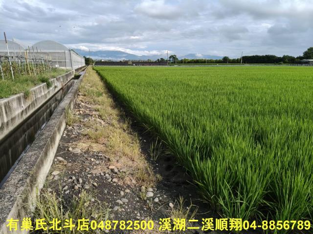 彰化農地-2