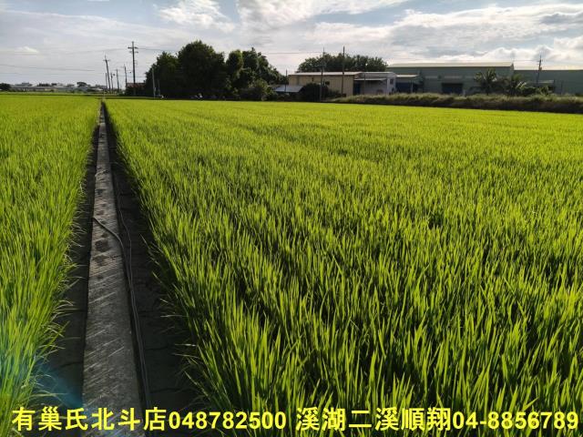 彰化農地-5