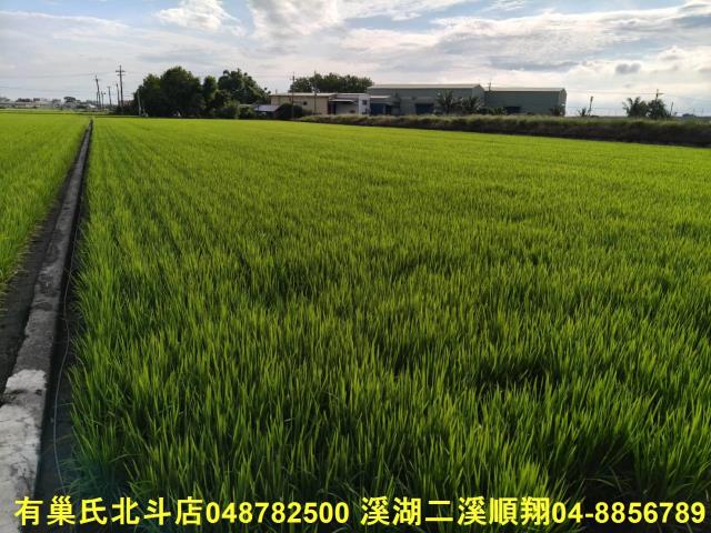 彰化農地-6