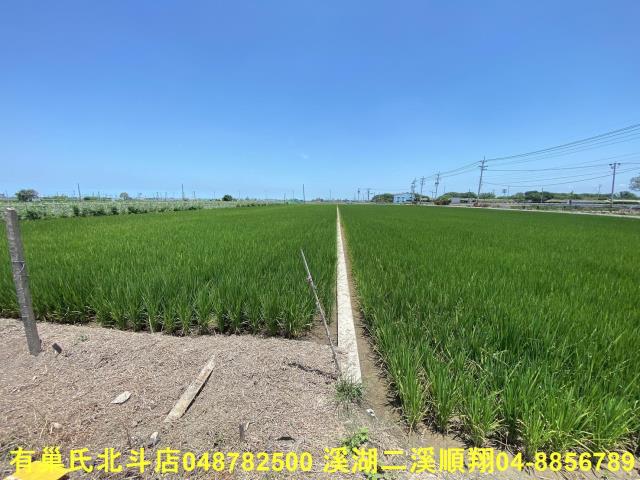 彰化埤頭農地-1