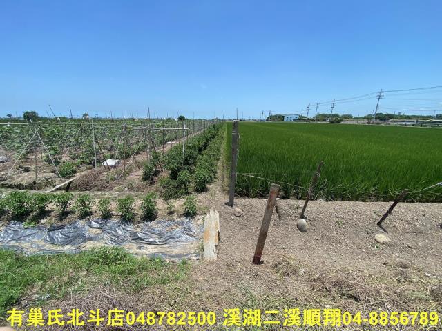 彰化埤頭農地-2