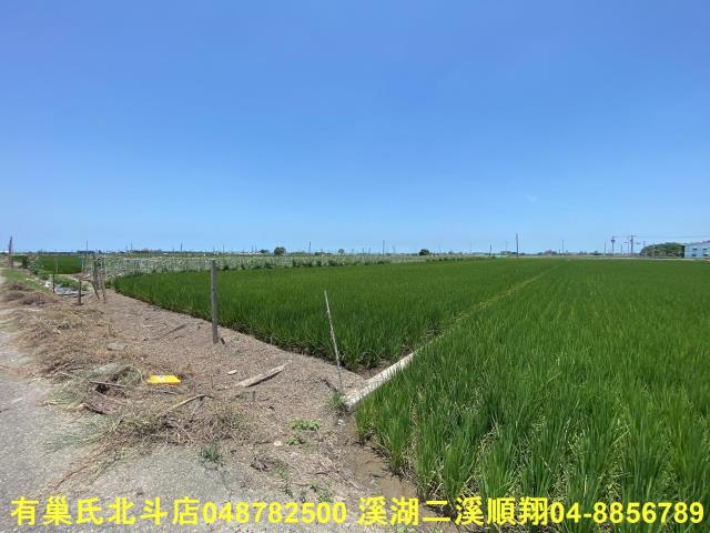 彰化埤頭農地-4