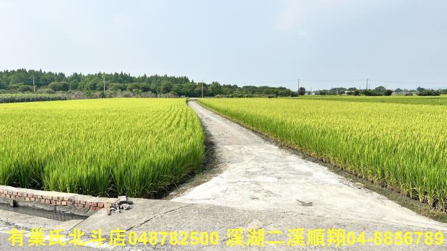 溪州農地-1
