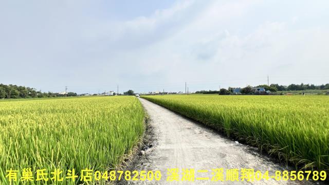 溪州農地-2