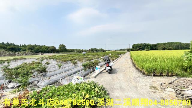 溪州農地-4