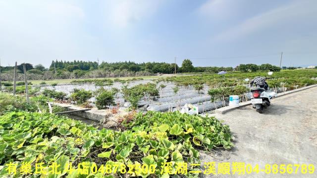 溪州農地-5