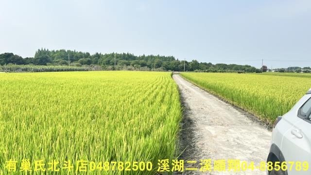溪州農地-6