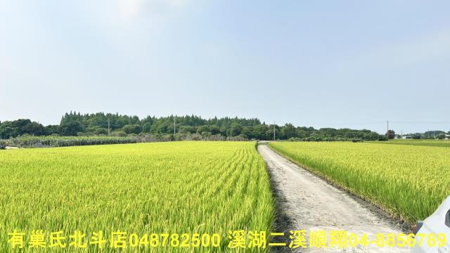 溪州農地-7
