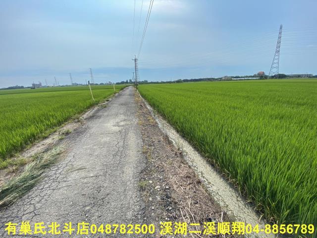 二林農地-4