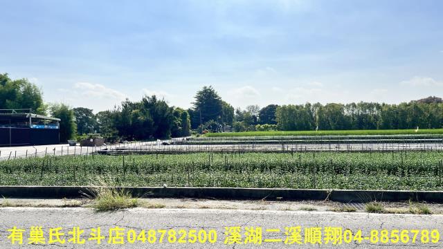 彰化溪州農地-0