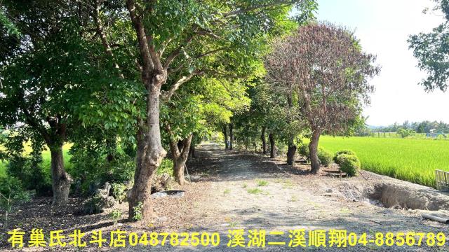 彰化溪州農地-1