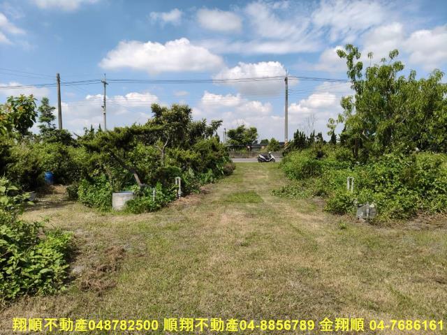 溪州農地-0