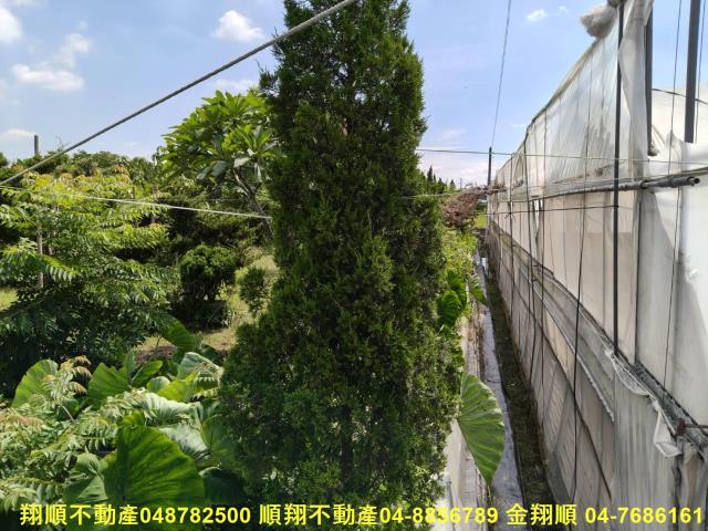 溪州農地-4