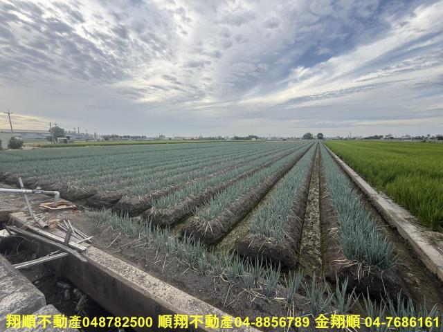 埔鹽農地-0