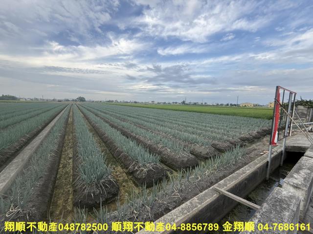 埔鹽農地-2