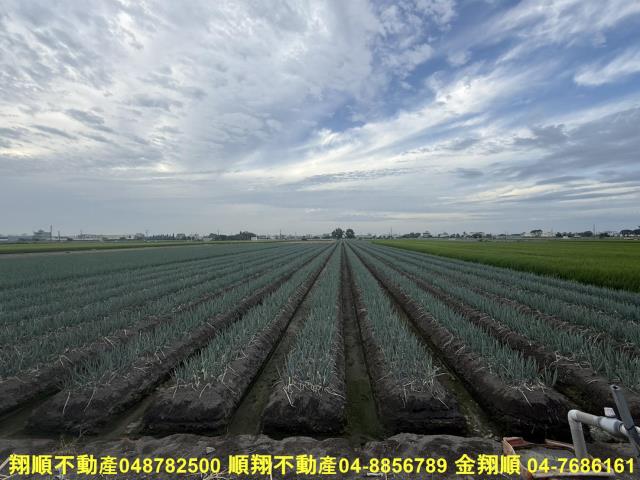 埔鹽農地-5