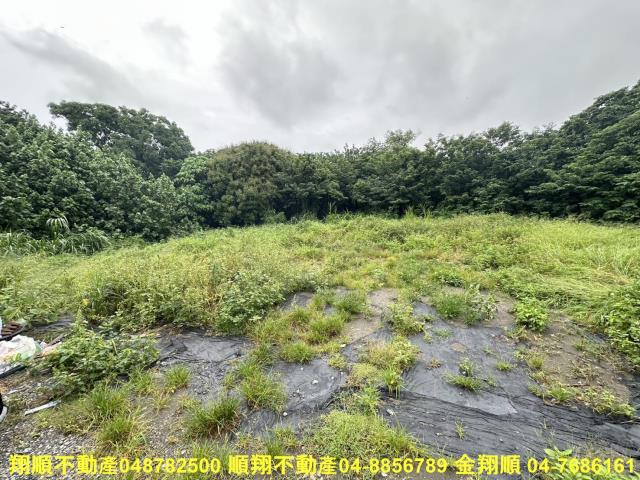 彰化埤頭建地-0