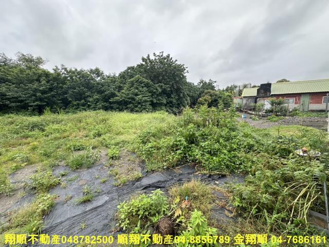彰化埤頭建地-1