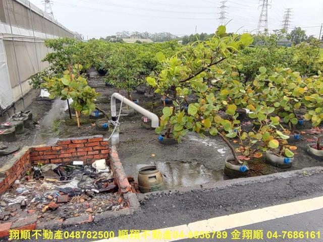 埤頭農地-0