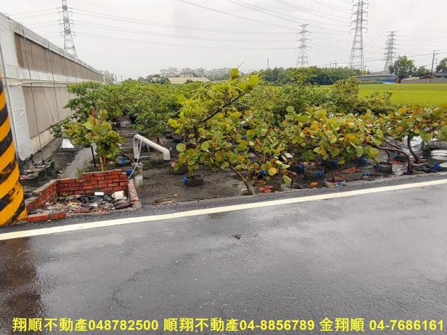 埤頭農地-3