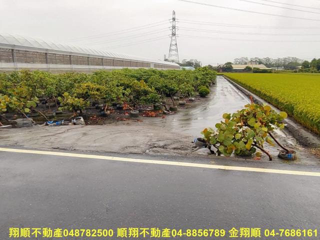 埤頭農地-4