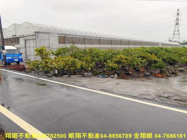 埤頭農地-5