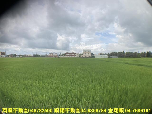 福興農地-2
