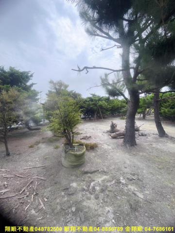 彰化農地-9