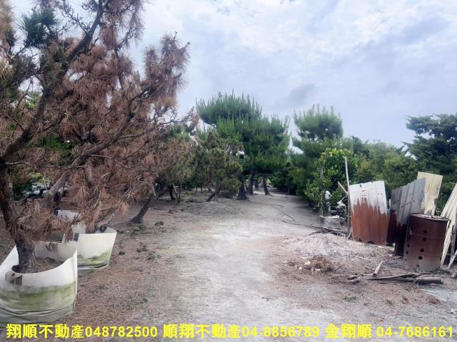 彰化農地-14