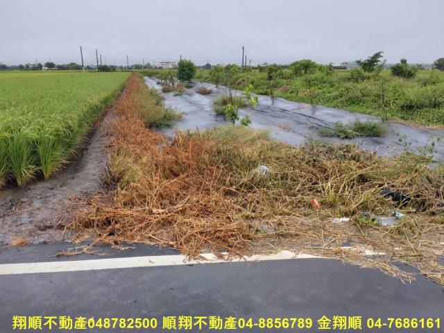 彰化埤頭農地-1