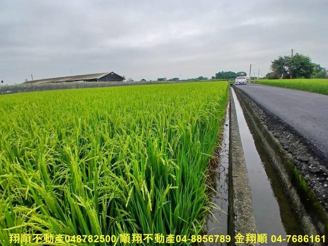 彰化農地-2