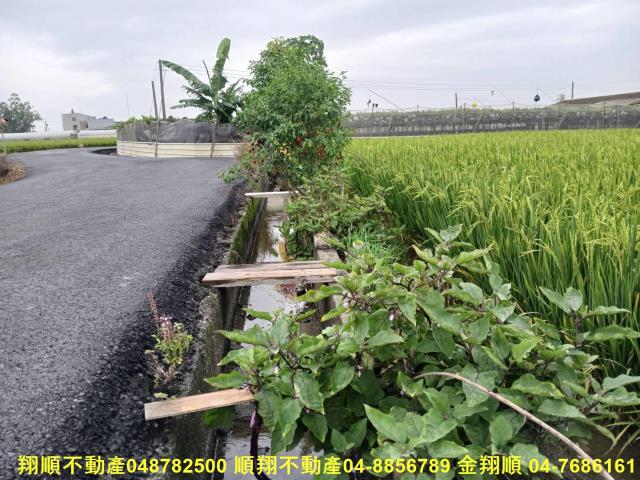 彰化農地-4
