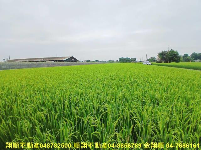 彰化農地-5