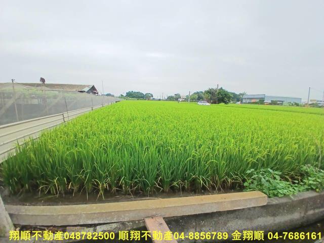 彰化農地-7