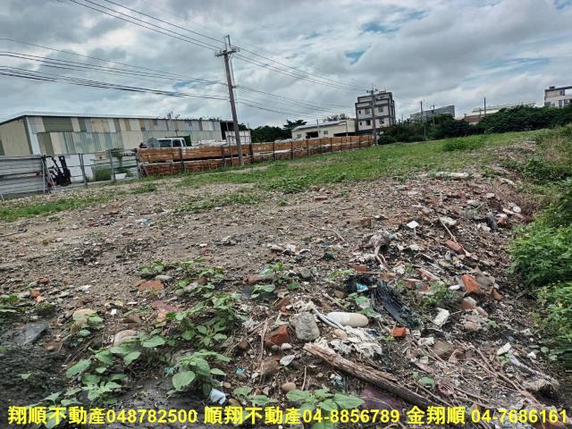 秀水農地-4