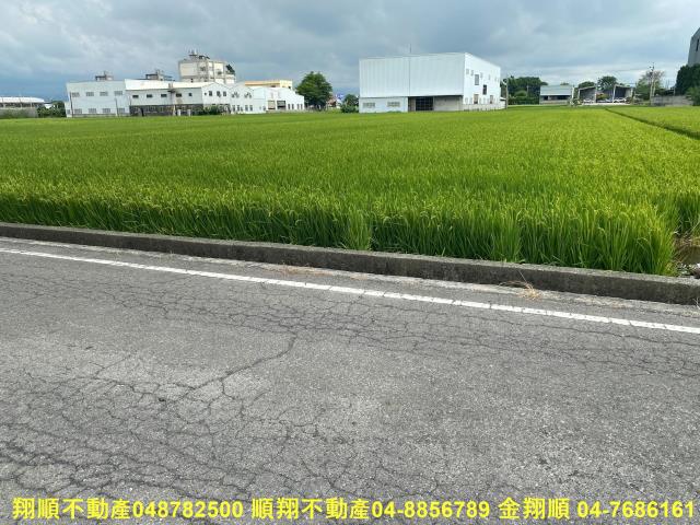 秀水農地-0