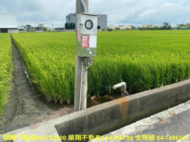 秀水農地-4