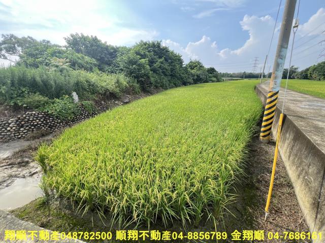 彰化農地-4