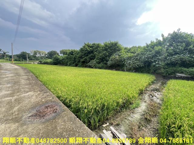 彰化農地-6