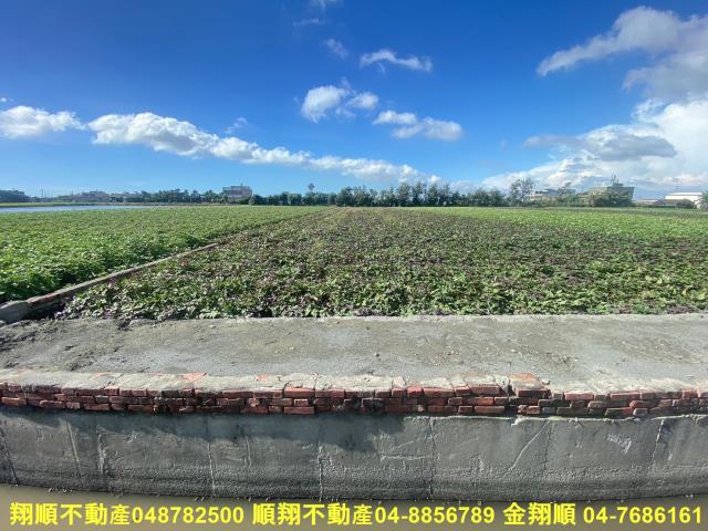 彰化農地-3