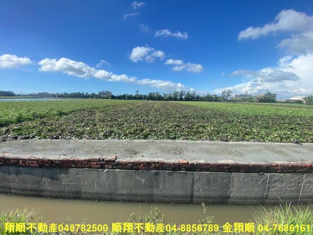 彰化農地-5