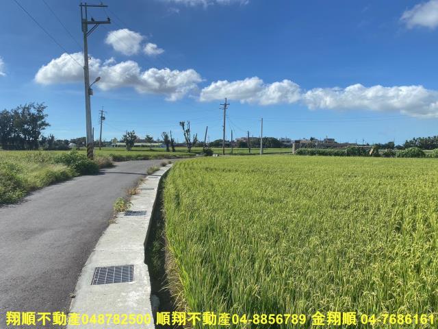 彰化大城農地-6
