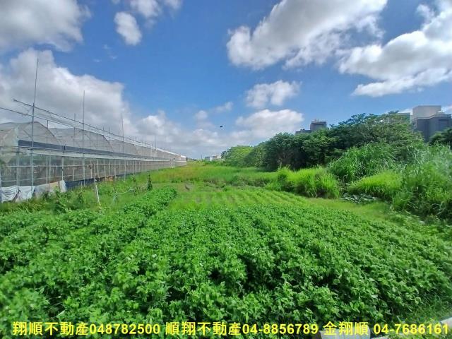 彰化埔鹽農地-0