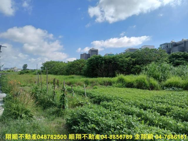 彰化埔鹽農地-3