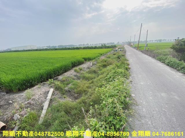 二林農地-1